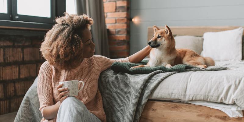 Convivência em Condomínios: Adaptando-se ao Crescente Número de Pets